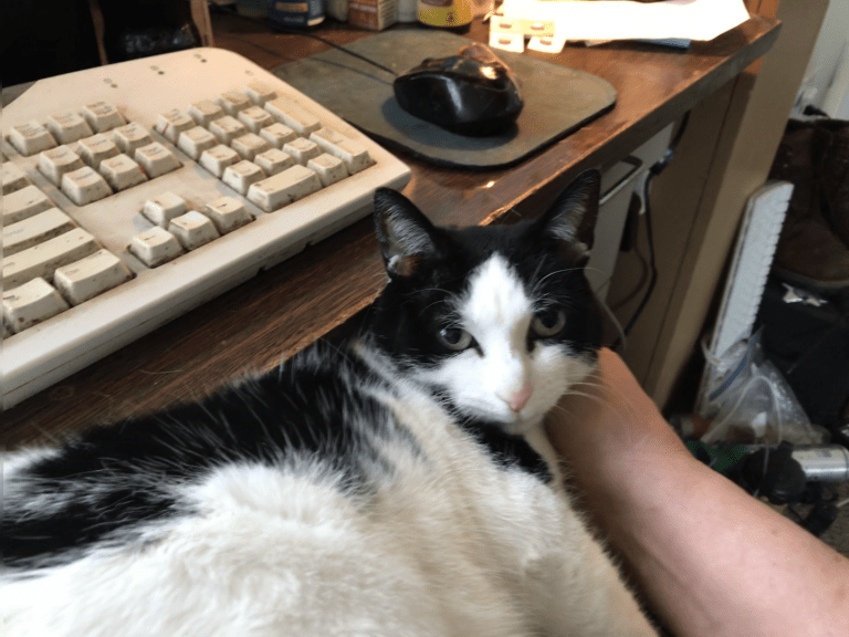 vlcsnap-2022-01-09-10h18m38s395