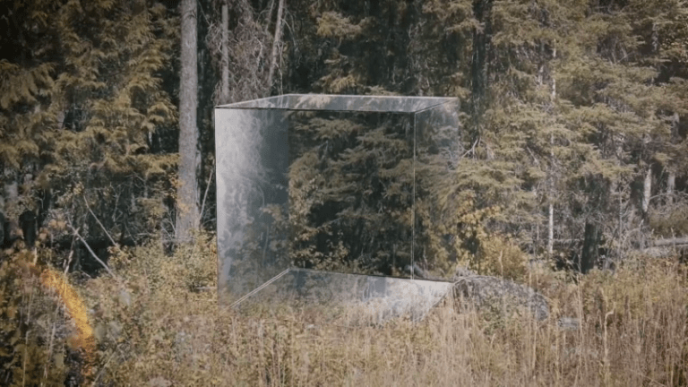 vlcsnap-2023-02-01-12h31m03s194