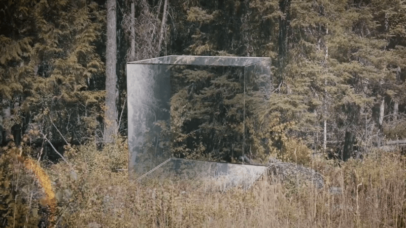 vlcsnap-2023-02-01-12h31m03s194